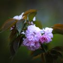 정이농장 이미지