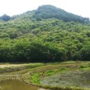 청남공인중개사사무소 이미지