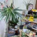 혜인이네꽃가게 이미지