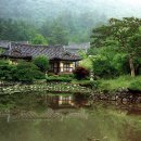 동백산방 이미지