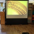 효문초등학교병설유치원 이미지