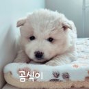몽글몽글 - 제주시 광양8길 15-19 | 몽글몽글