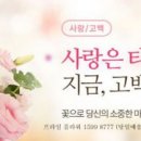 꽃사랑플라워 이미지