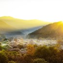 강원 인제 비밀의 정원 이미지