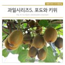 산다래 | 한국의 야생 키위 다래 과일, 놀라운 효능과 제대로 먹는 법 공개!