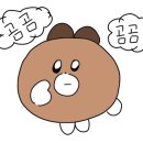홀리라이크