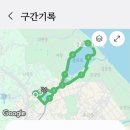 경포동주민센터 | 강릉 고래런 경포 러닝 코스 슬로우조깅 피크민블룸