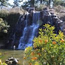 감귤게스트하우스 이미지