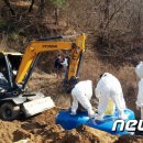 이병렬 농장 뉴스1