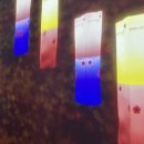 리움아트 | 전북 남원 여행 가족끼리 가볼만한 곳 추천 피오리움 미디어아트 내돈내산 후기