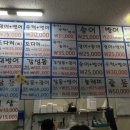 돌고래회수산 이미지