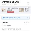 도야족발보쌈강동산하점