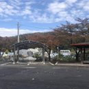 대회리약수터 충남일보