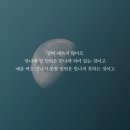 11월 24일 오늘의 운세 이미지