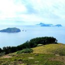 김석하 | 굴업도여행 후기 <2> 내가 본 굴업도는 사슴들의 천국이었다