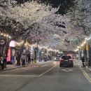 무진축산 네이버블로그