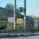 해누리 클린 | 나두 감성 있는 일상 블로그 쓰고 싶따(feat.쌉돼지)