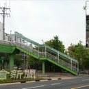 일신초교 이미지