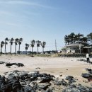 평대해수욕장 이미지