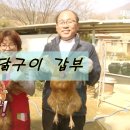 영래농장 티스토리
