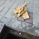 분당-329 네이버블로그