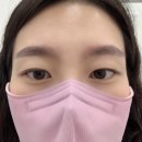 사파동101 이미지