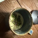 승우정 네이버블로그