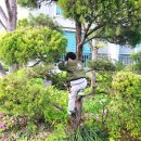 롯지 우이 | 서울 아이랑 가볼만한 곳 우이동키즈카페 야크돔 키즈클라이밍