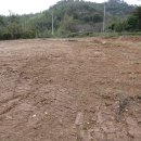 부호부동산공인중개사사무소 이미지