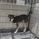 소답동225 이미지