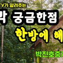 인제농협 원통지점 이미지