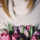 담방초등학교 이미지