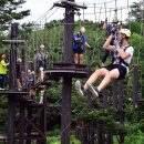 불암산더불어숲 이미지