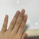 샵휘