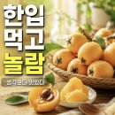 처음엔 낯설었는데 자꾸 생각나는 과일, 비파열매 먹어본 후기