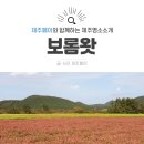아름다운농장비밀의화원 | 제주 동쪽 핫플레이스, 인생샷명소 &lt;보롬왓&gt;