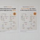 노력목장 | 제주 [아침미소목장] 🐄원유 100% , 🥛🍮치즈푸딩 후기