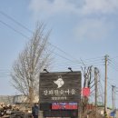 세포마을 | 인천 강화도 찜질방 강화참숯마을 준비물 바베큐 주말 방문 후기