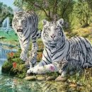 인천남촌초등학교 이미지