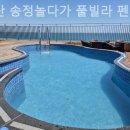 부산송정놀다가풀빌라펜션