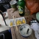 하루가다르개 | 한국보다 더 시원한 치앙마이 - 2일차 (부제 : 오토바이 획득으로 신분상승)