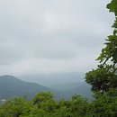 석남농장 이미지