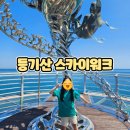 등기산스카이워크 | 아이와 울진여행 추천지 등기산 스카이워크 후기