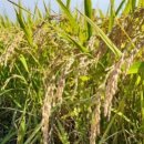 관설 경로당 이미지