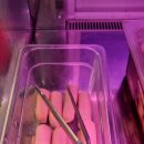 노천민물장어 군포산본점 이미지