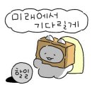 월드마켓 이미지