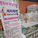 해피패럿 | 괴정 앵무새카페 (해피패럿) 후기