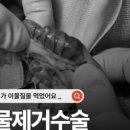 서울산 동물병원 네이버블로그