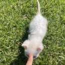 정산서다실