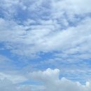 헬로우(HELLO) | 오키나와 여행 | 공유 자전거 헬로우 사이클링(HELLO CYCLING) 사용 후기, 사용법 총정리